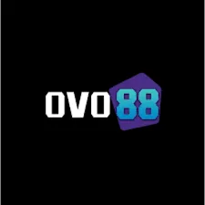 OVO88 - Balapan Motor Seru di Jalanan